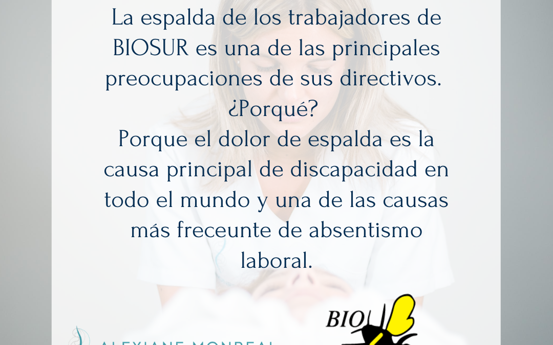 consulta Quiropráctica, Almería, salud, medicina alternativa, tratamiento conservador, tratamiento manual